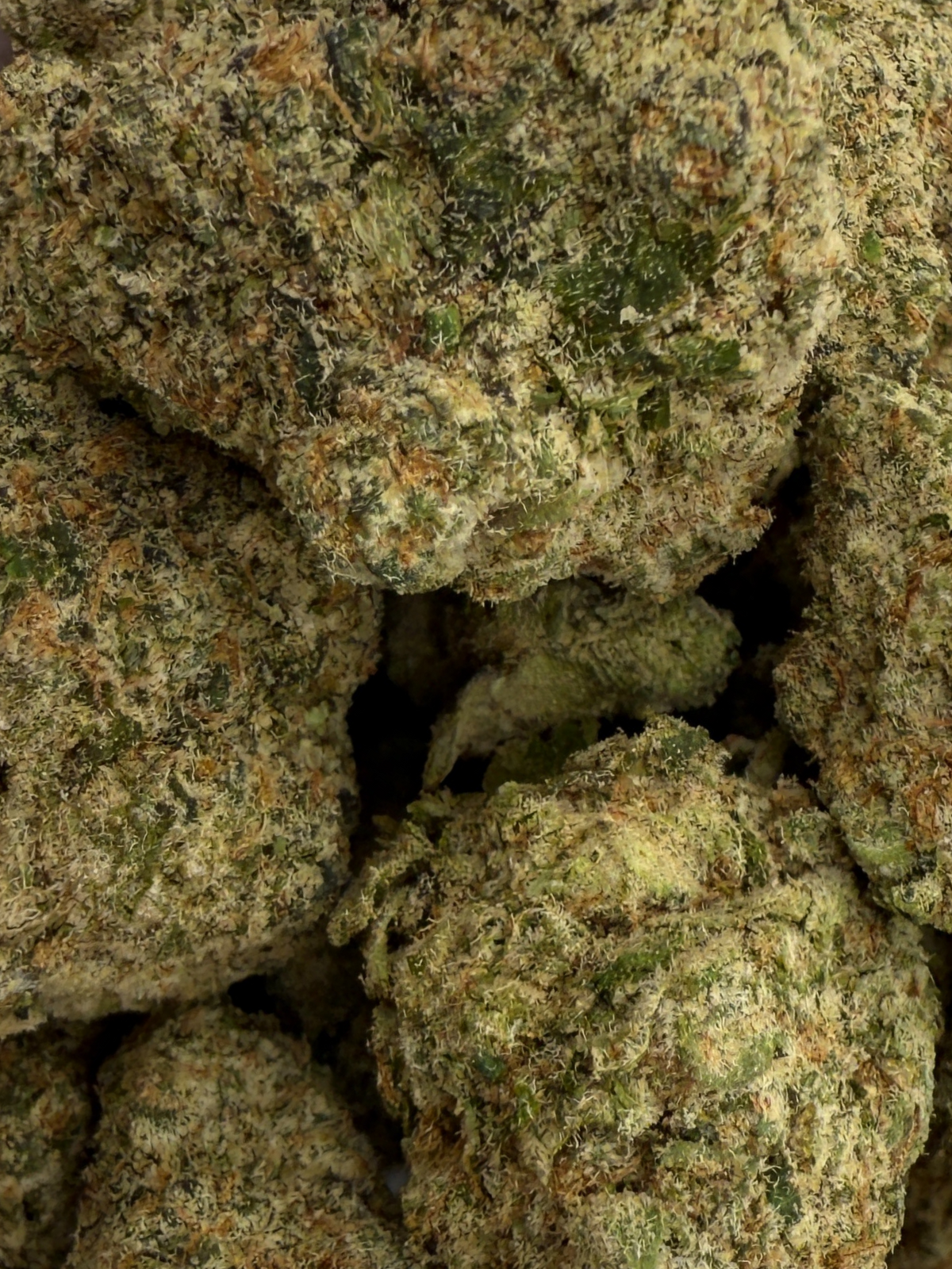 August Cannabis Club Alaskan Thunder Fuck THCA Flower 