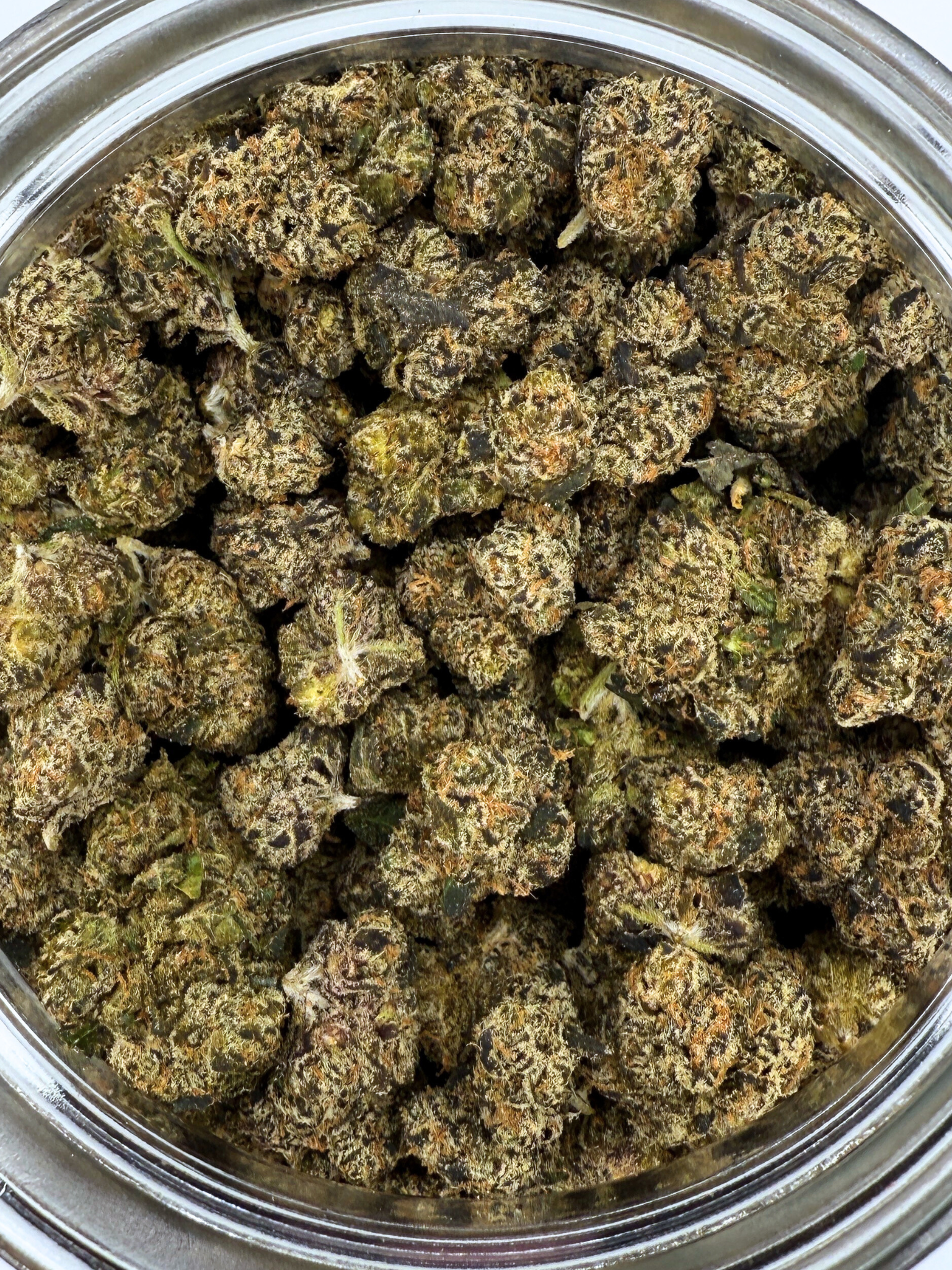 Pink Starburst - Exotic Smalls