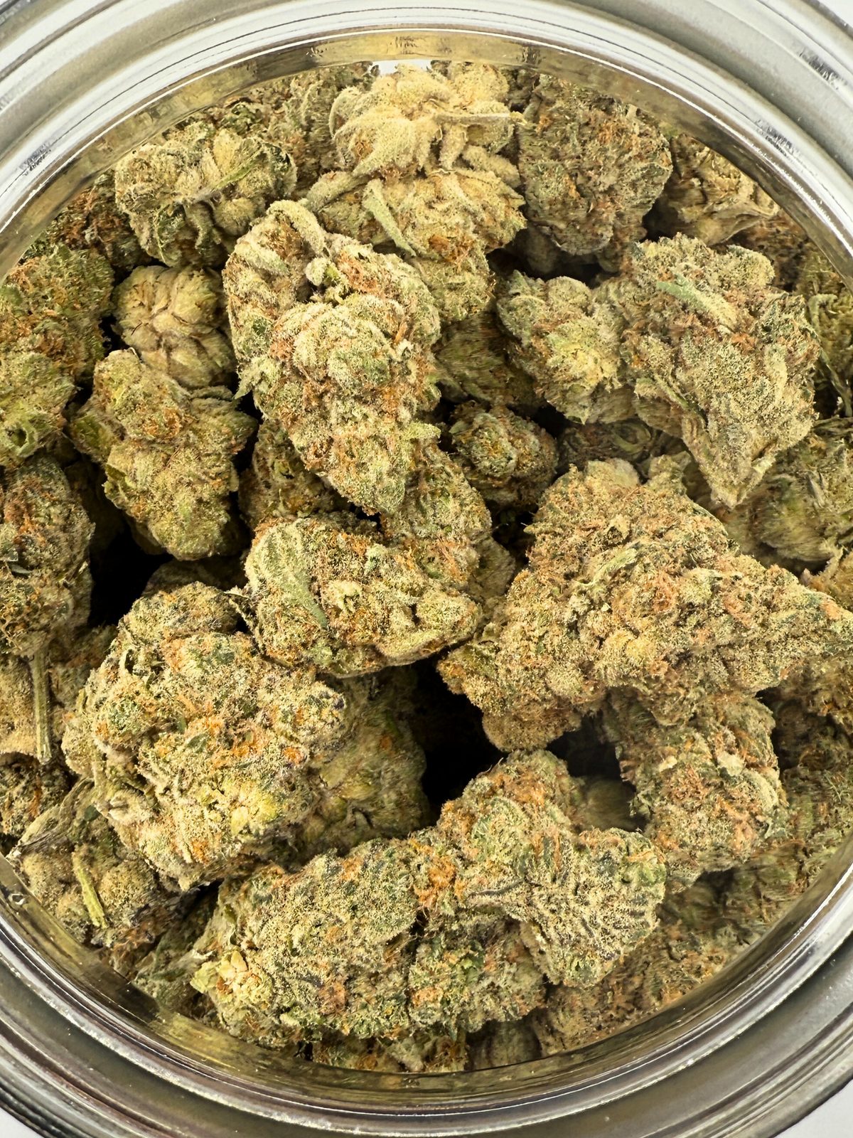 Strawberry Cough THCA Flower August Cannabis Club Indoors Living Soil