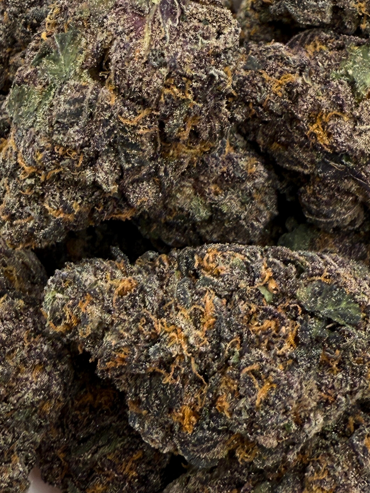 Danky Kong THCA Flower August Cannabis Club