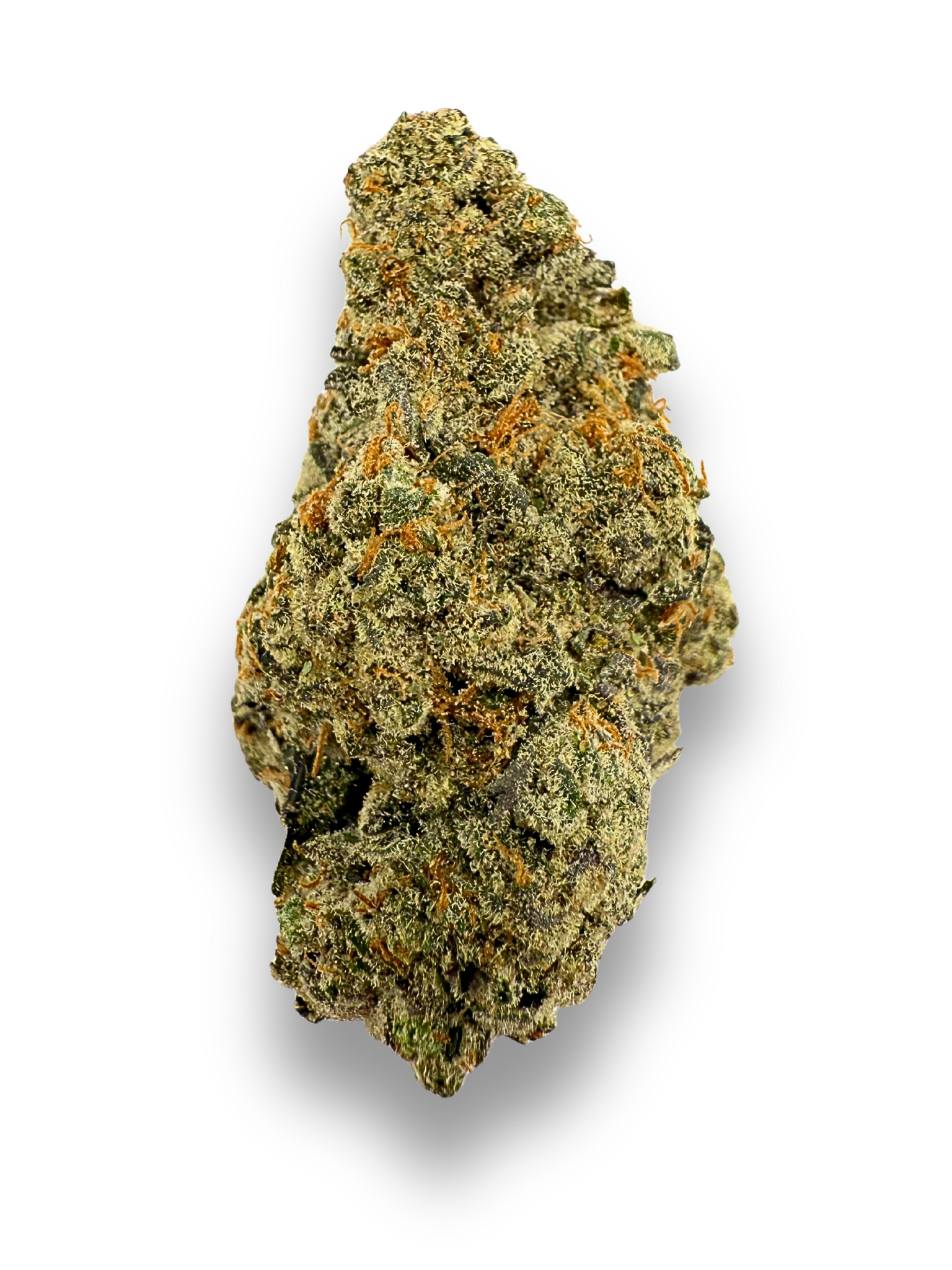 Government Oasis THCA Flower August Cannabis Club Living Soil