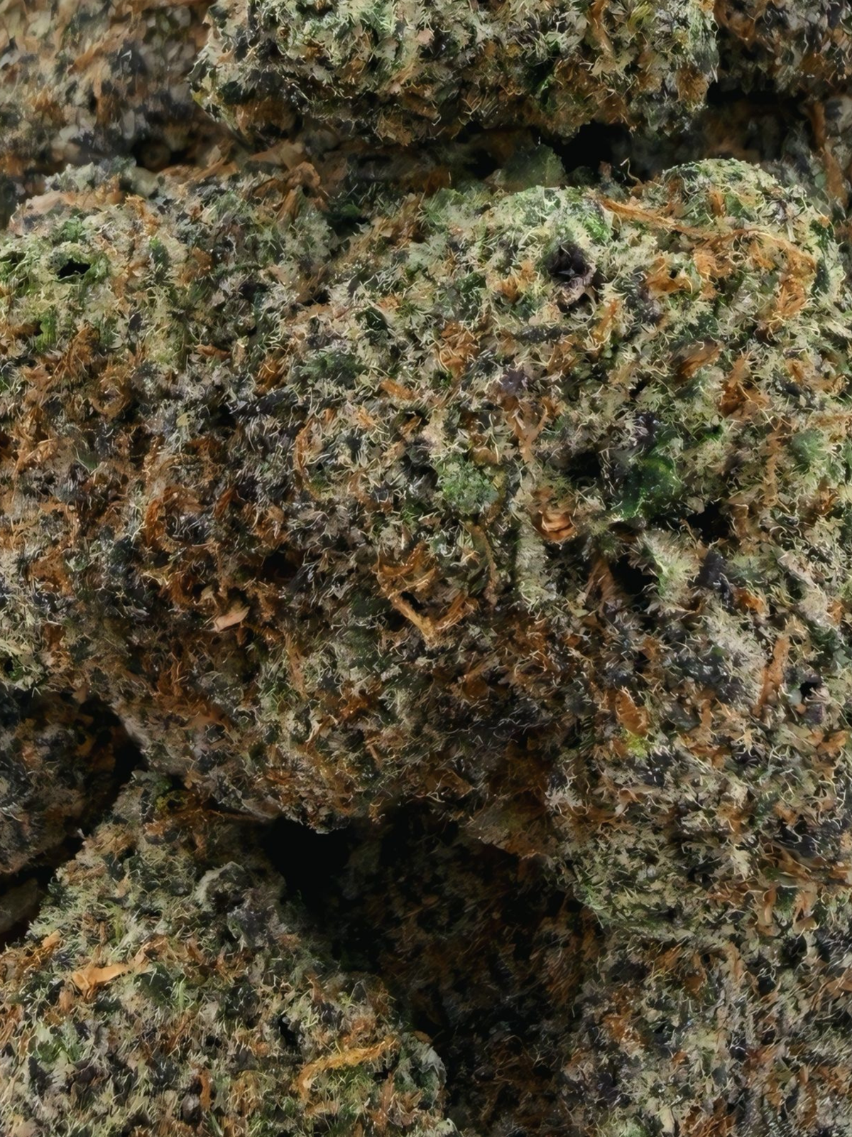 August Cannabis Club Super Boof THCA Flower