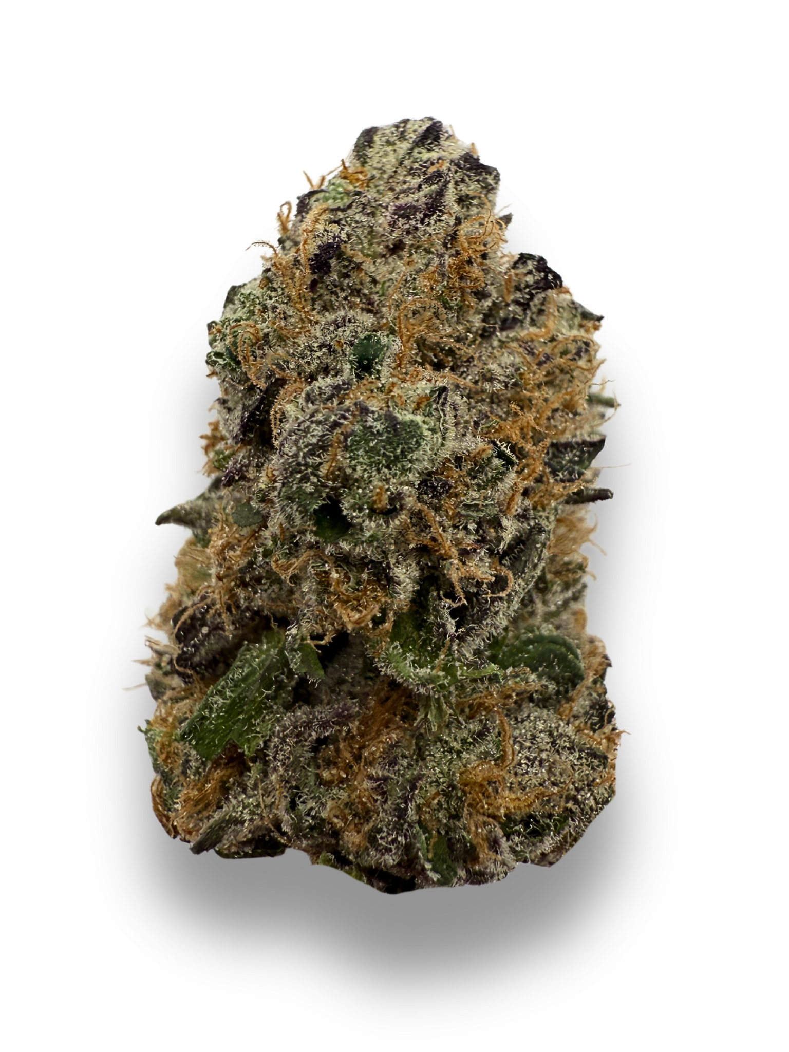 London Fog THCA Flower August Cannabis Club