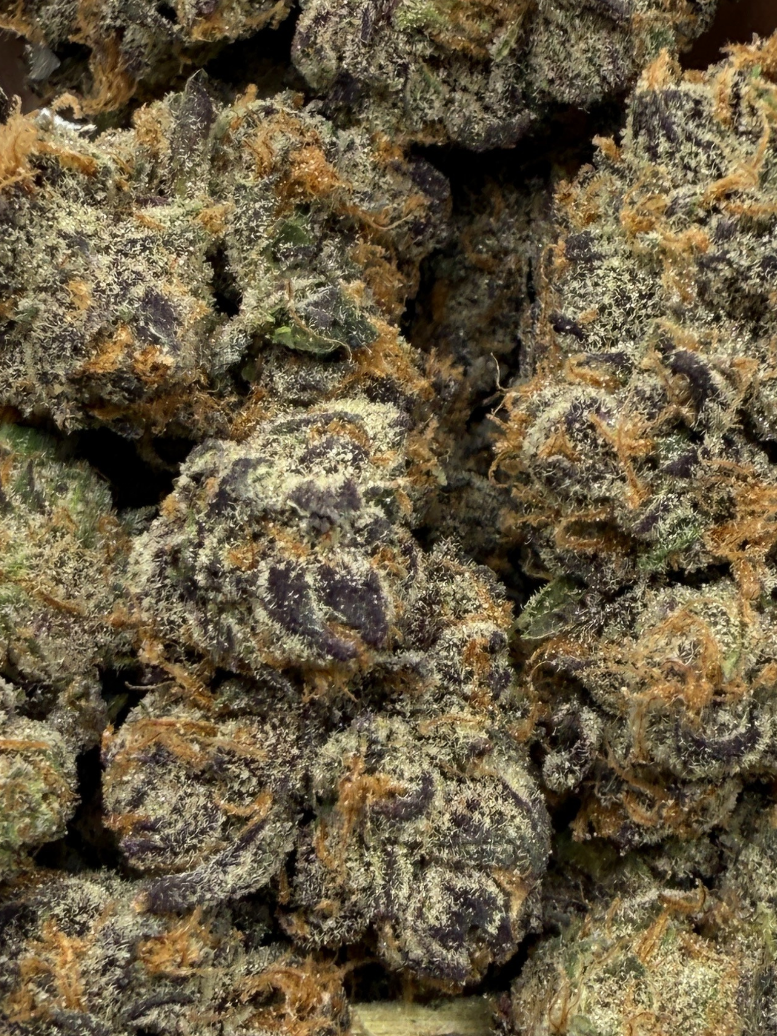London Fog THCA Flower August Cannabis Club
