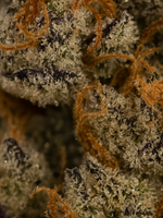 London Fog THCA Flower August Cannabis Club
