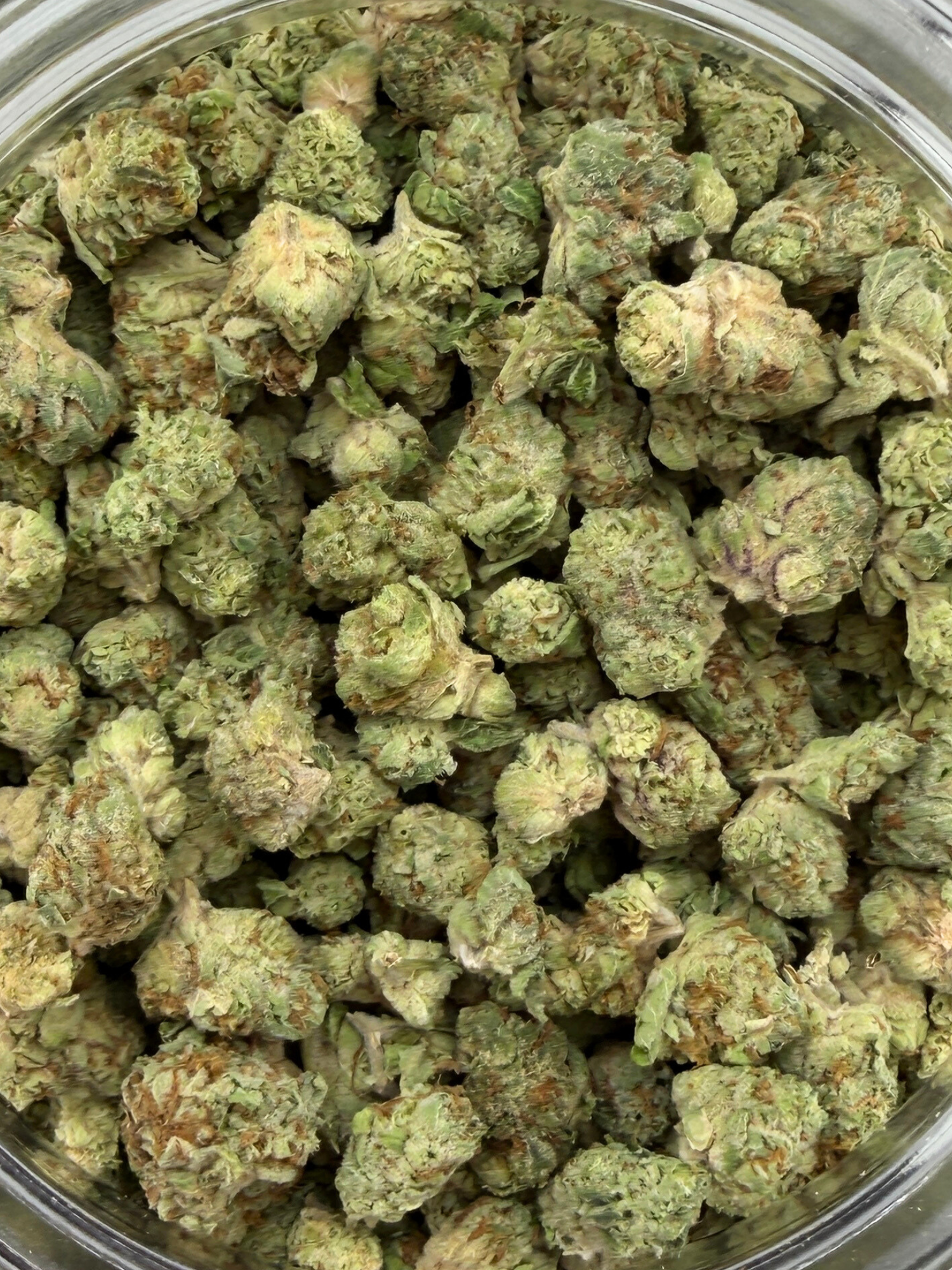 Panama Red - Exotic Smalls