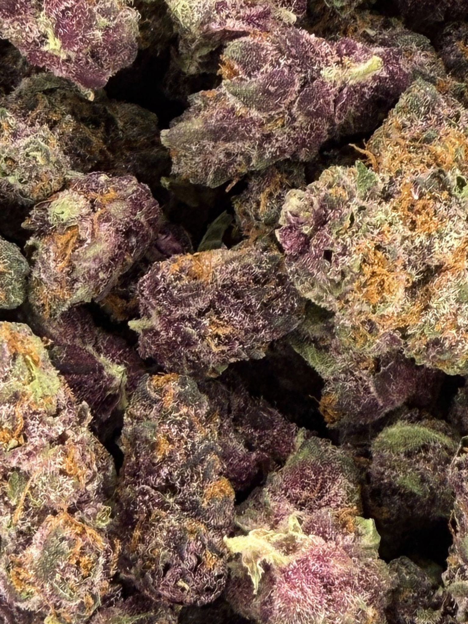 Tropical Punch - Exotic Smalls