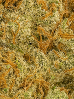 Unicorn Breath THCA Flower Exotic Smalls August Cannabis Club Close Up