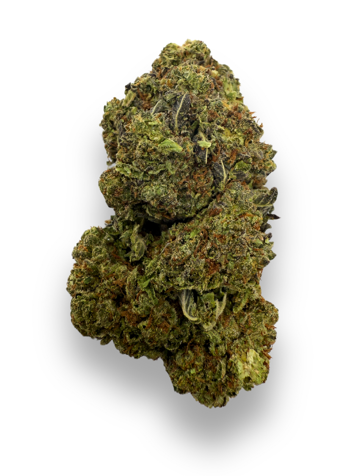 August Cannabis Club THCA White Truffles Indoor Flower