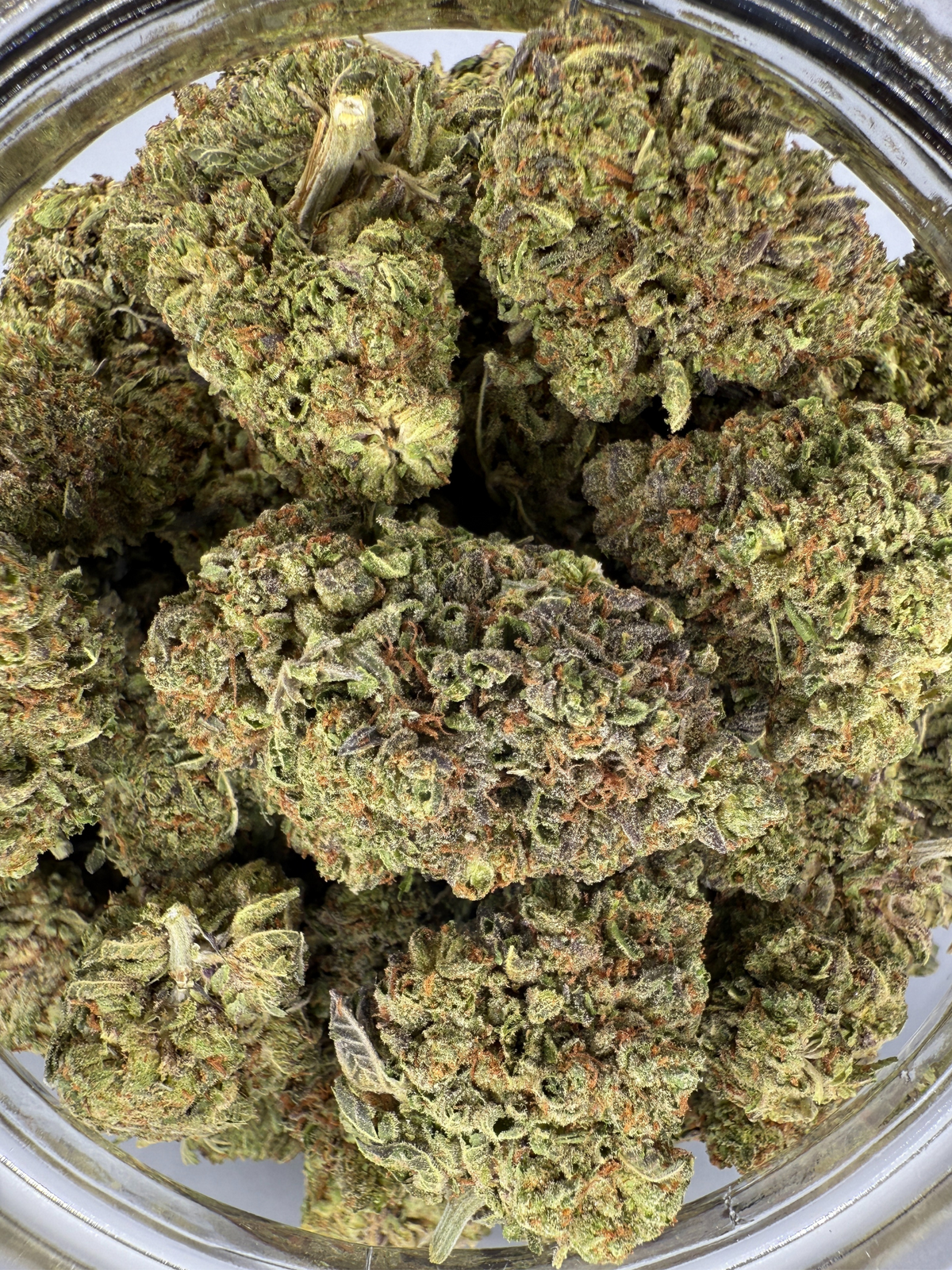 August Cannabis Club THCA White Truffles Indoor Flower