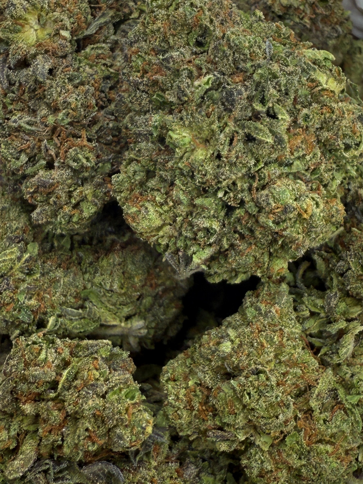 August Cannabis Club THCA White Truffles Indoor Flower