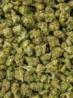 Close-up of Sour Diesel THCa Greenhouse Smalls showing crystal trichomes and bright orange hairs | August Cannabis Club