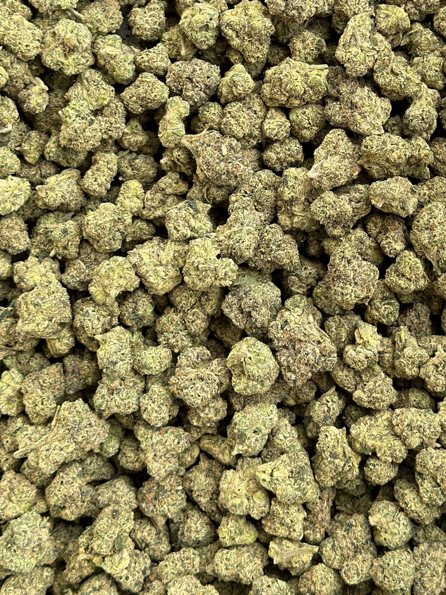 Baby Yoda - Exotic Smalls