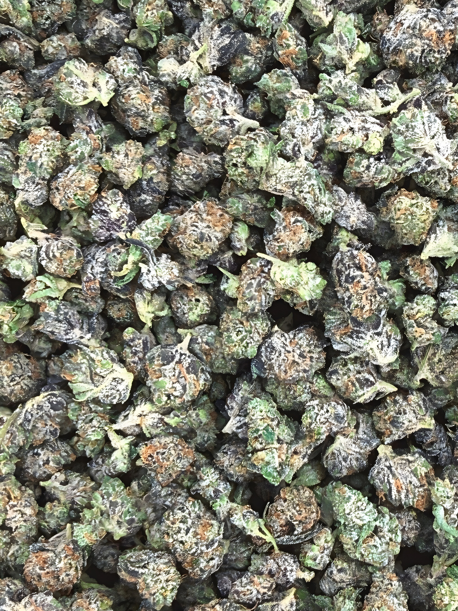 Black Amber Exotic Smalls THCA August Cannabis Club