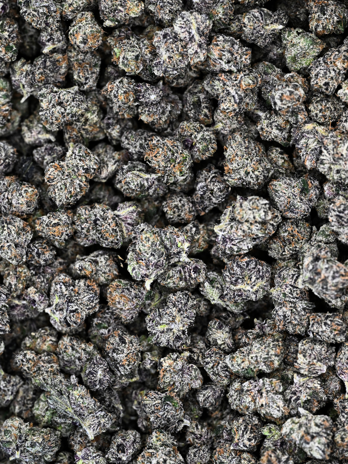 Close-up of Black Bow Indoor Exotic Smalls Indica THCa Smalls buds with a frosty texture | August Cannabis Club