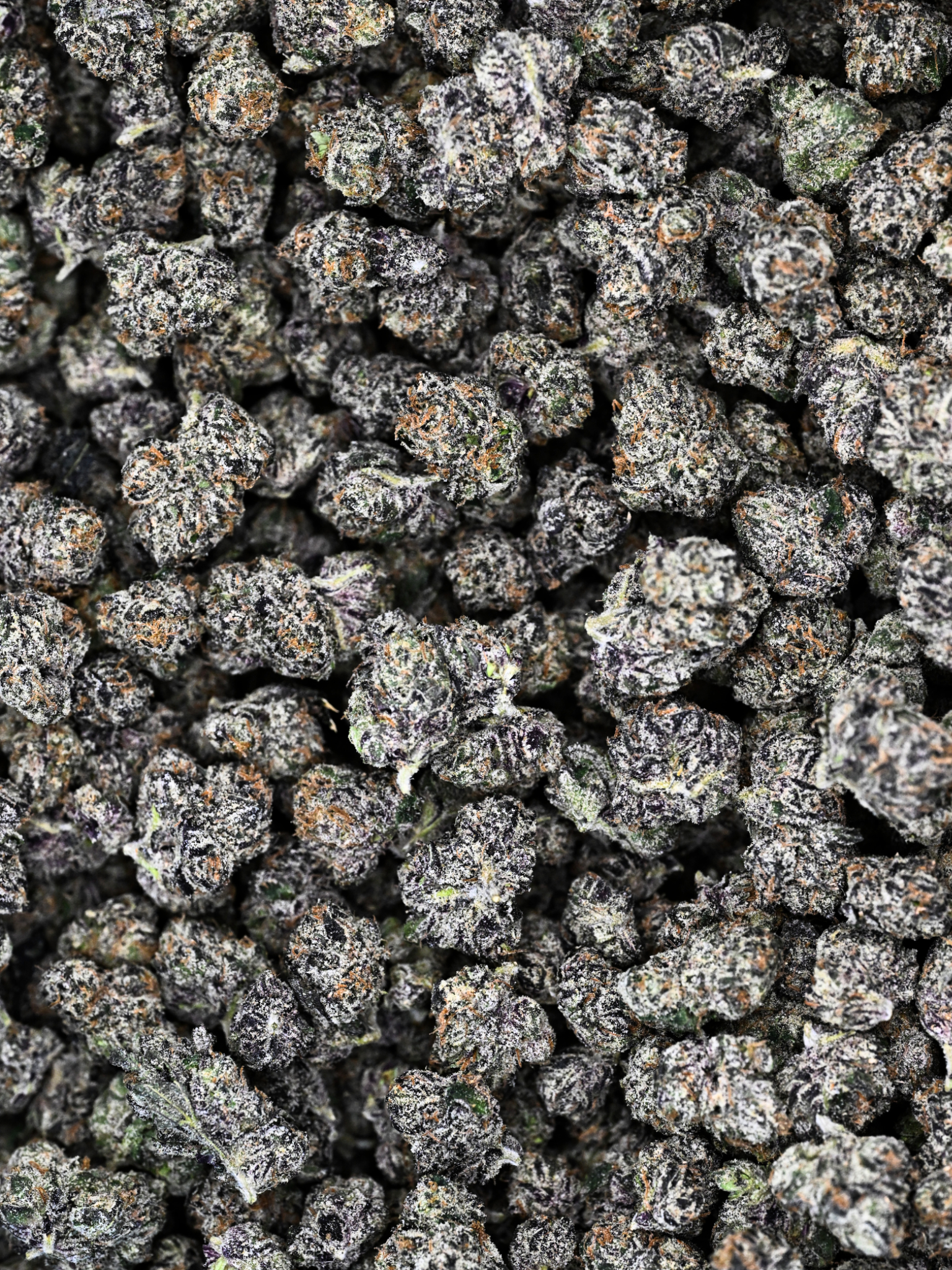 Close-up of Black Bow Indoor Exotic Smalls Indica THCa Smalls buds with a frosty texture | August Cannabis Club