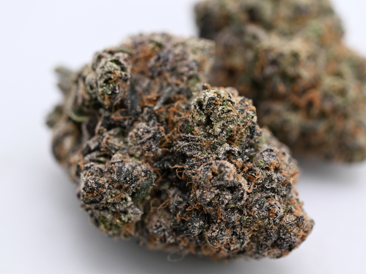 Black Marker August Cannabis Club Indoor Living Soil THCA Flower