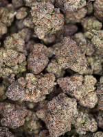 Black Marker August Cannabis Club Indoor Living Soil THCA Flower