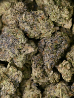 Greenhouse THCa Blue Cherry Gelato August Cannabis Club