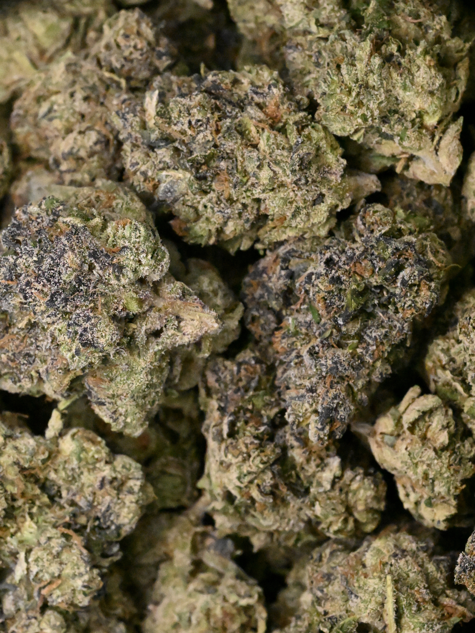 Greenhouse THCa Blue Cherry Gelato August Cannabis Club