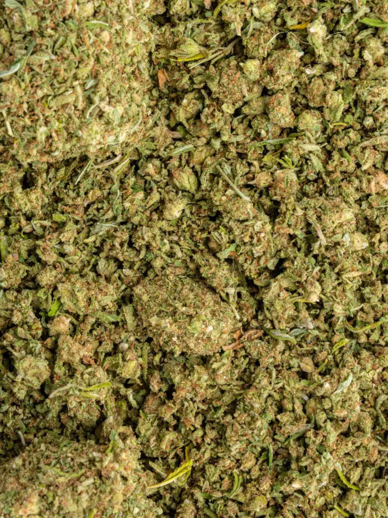 Blue Dream Exotic August Cannabis Club THCA