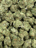 Blue Dream Greenhouse THCa Flower August Cannabis Club
