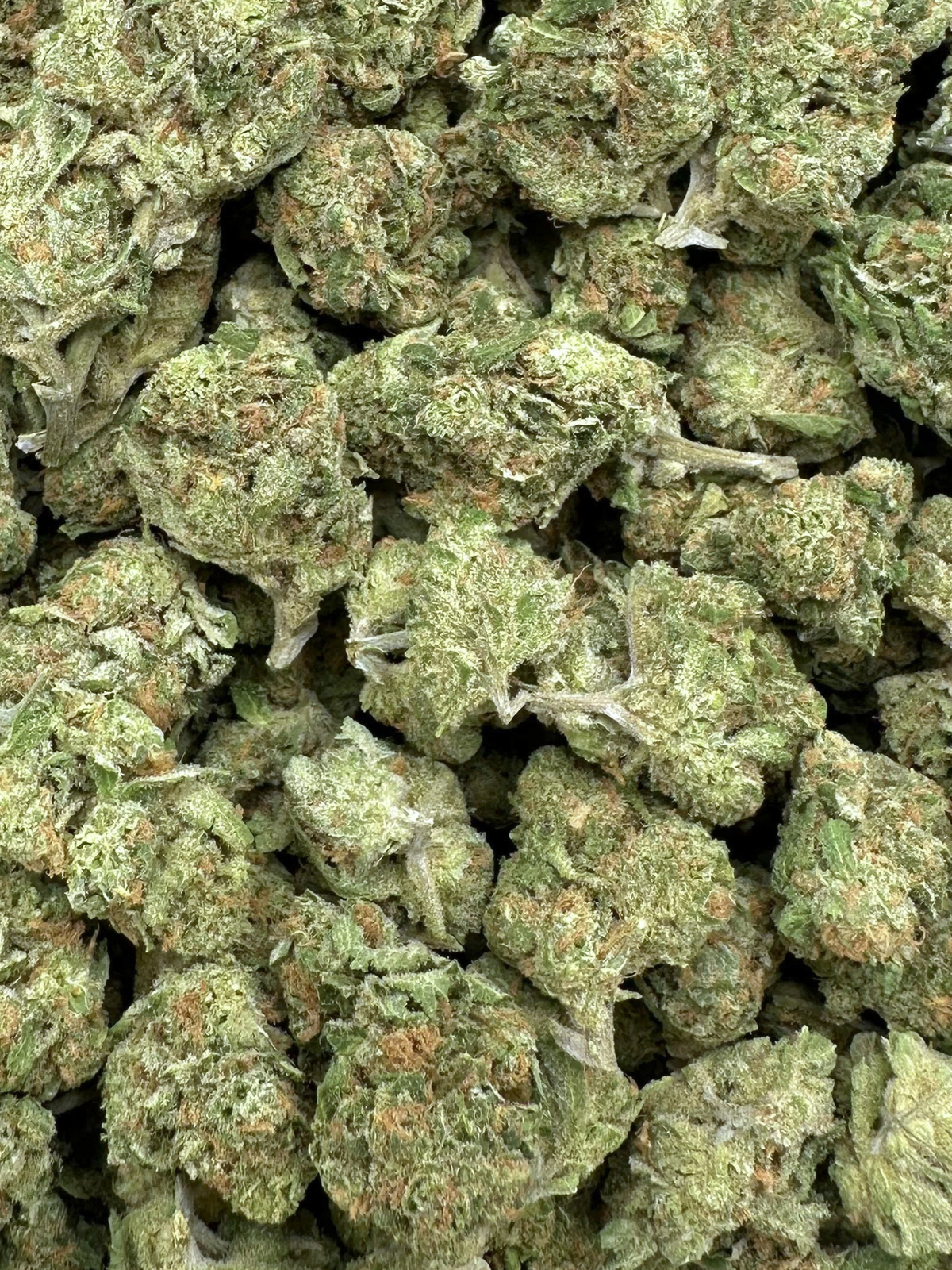 Blue Dream Greenhouse THCa Flower August Cannabis Club