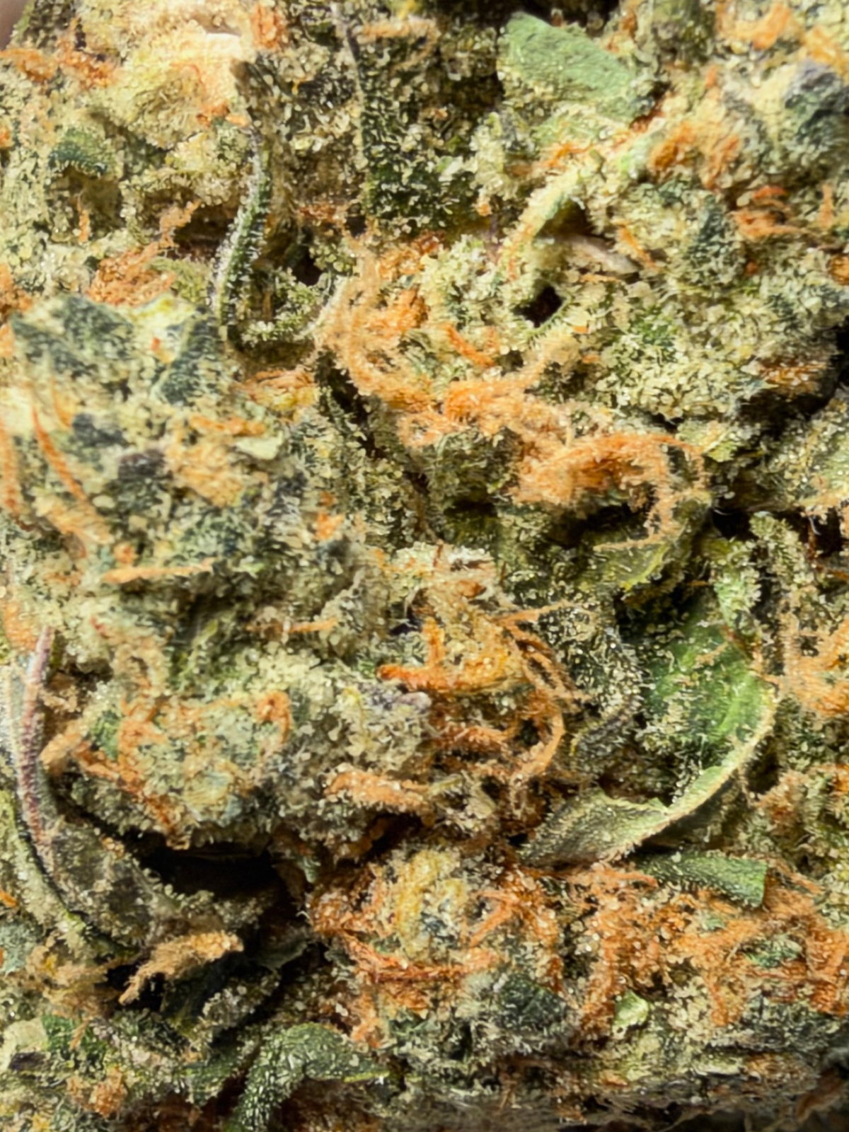 Blue Magic THCa Flower August Cannabis Club