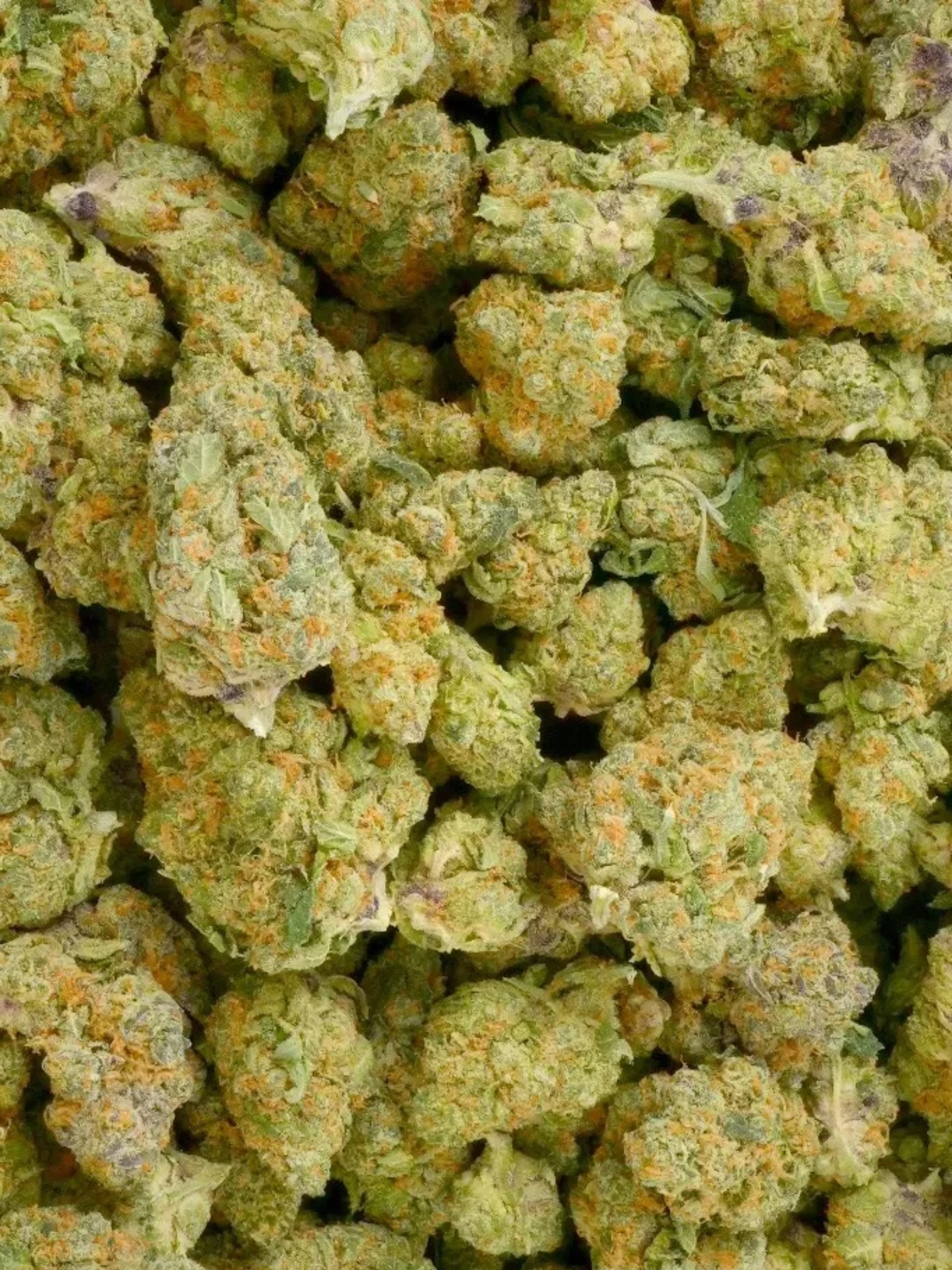 Blue Magic THCa Flower August Cannabis Club