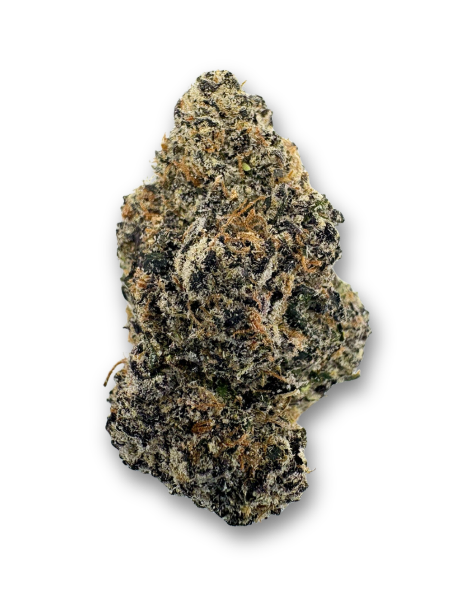 Blue Zookies