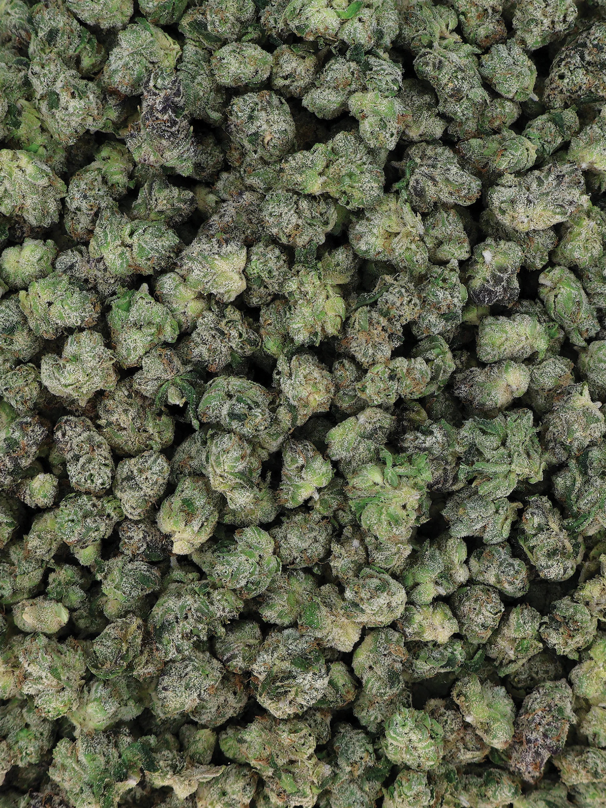Blue Zkittlez Indoor Exotic Smalls - Indica THCa Flower | August Cannabis Club