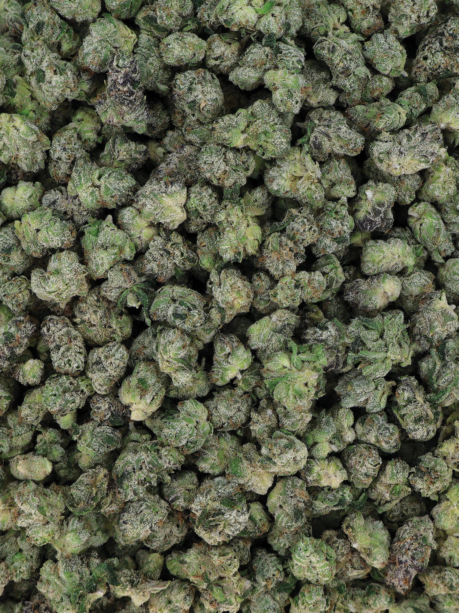 Blue Zkittlez Indoor Exotic Smalls - Indica THCa Flower | August Cannabis Club