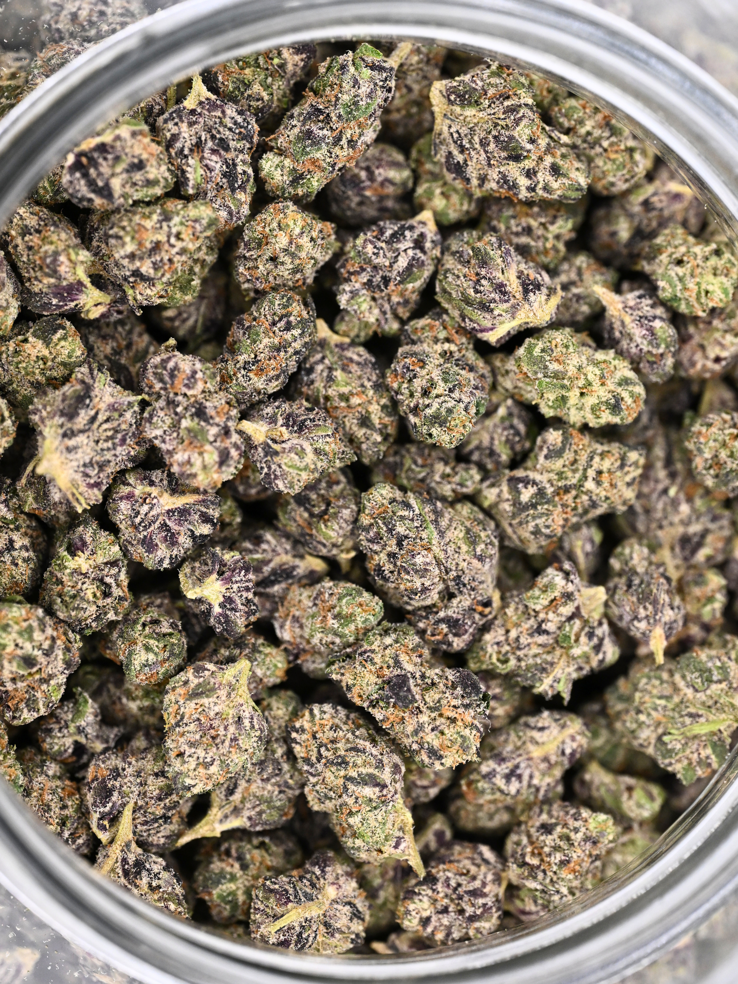 Blueberry Kush - Exotic Smalls