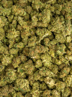 Cheerios Greenhouse Smalls Indica August Cannabis Club THCA Flower