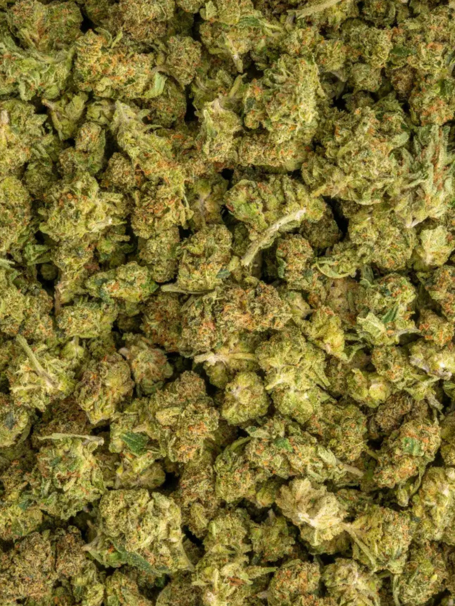 Cheerios Greenhouse Smalls Indica August Cannabis Club THCA Flower