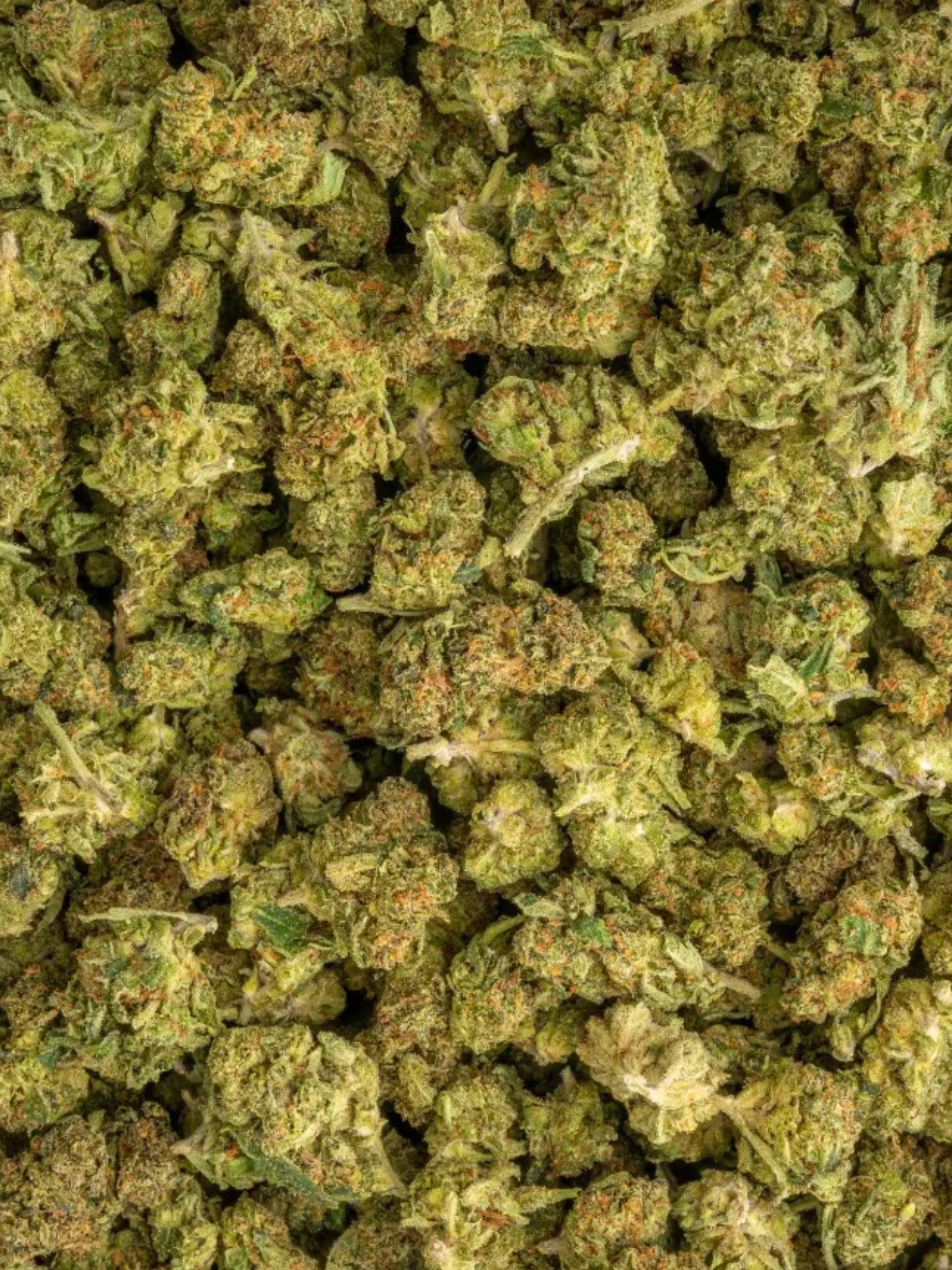 Cheerios Greenhouse Smalls Indica August Cannabis Club THCA Flower