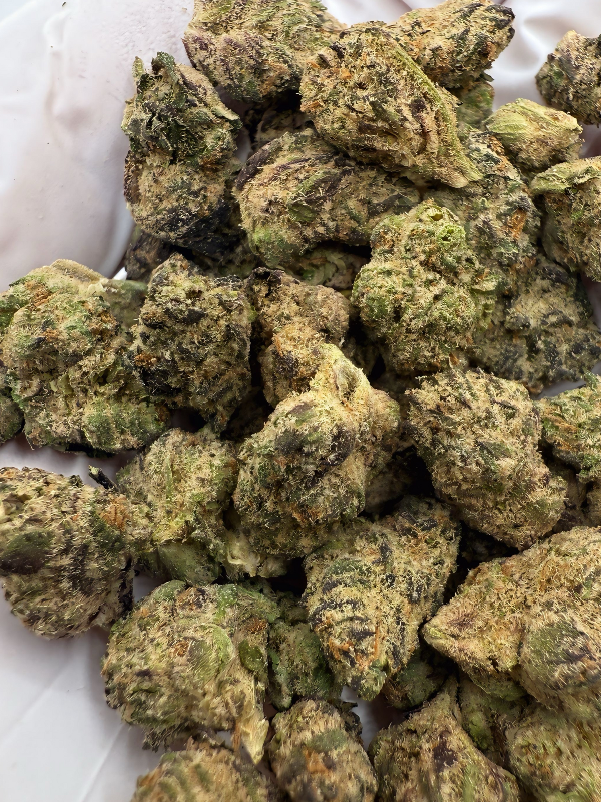 Cheetah Piss - Exotic Smalls