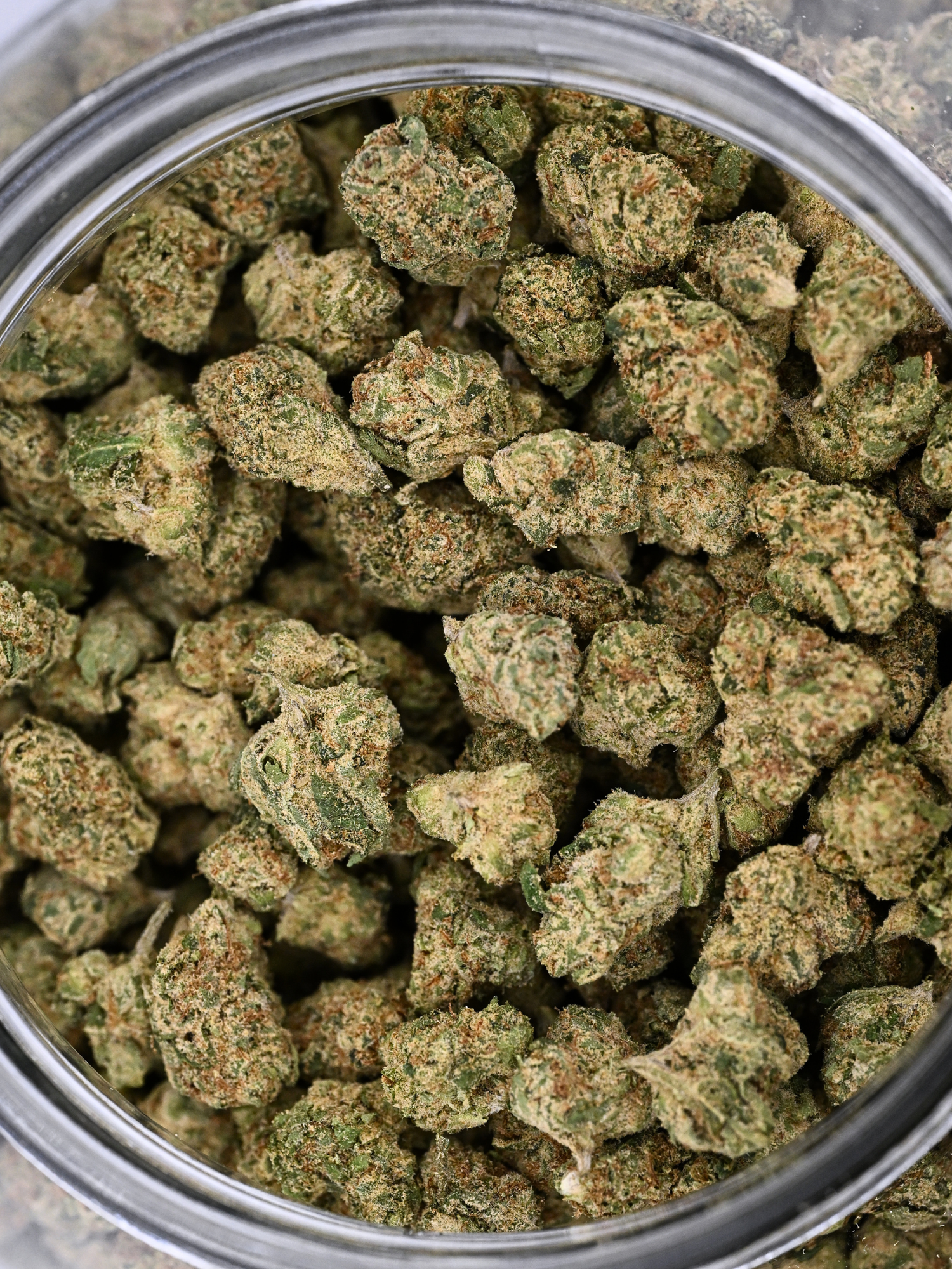 Colombian Gold Exotic Smalls Sativa August Cannabis Club THCA Flower