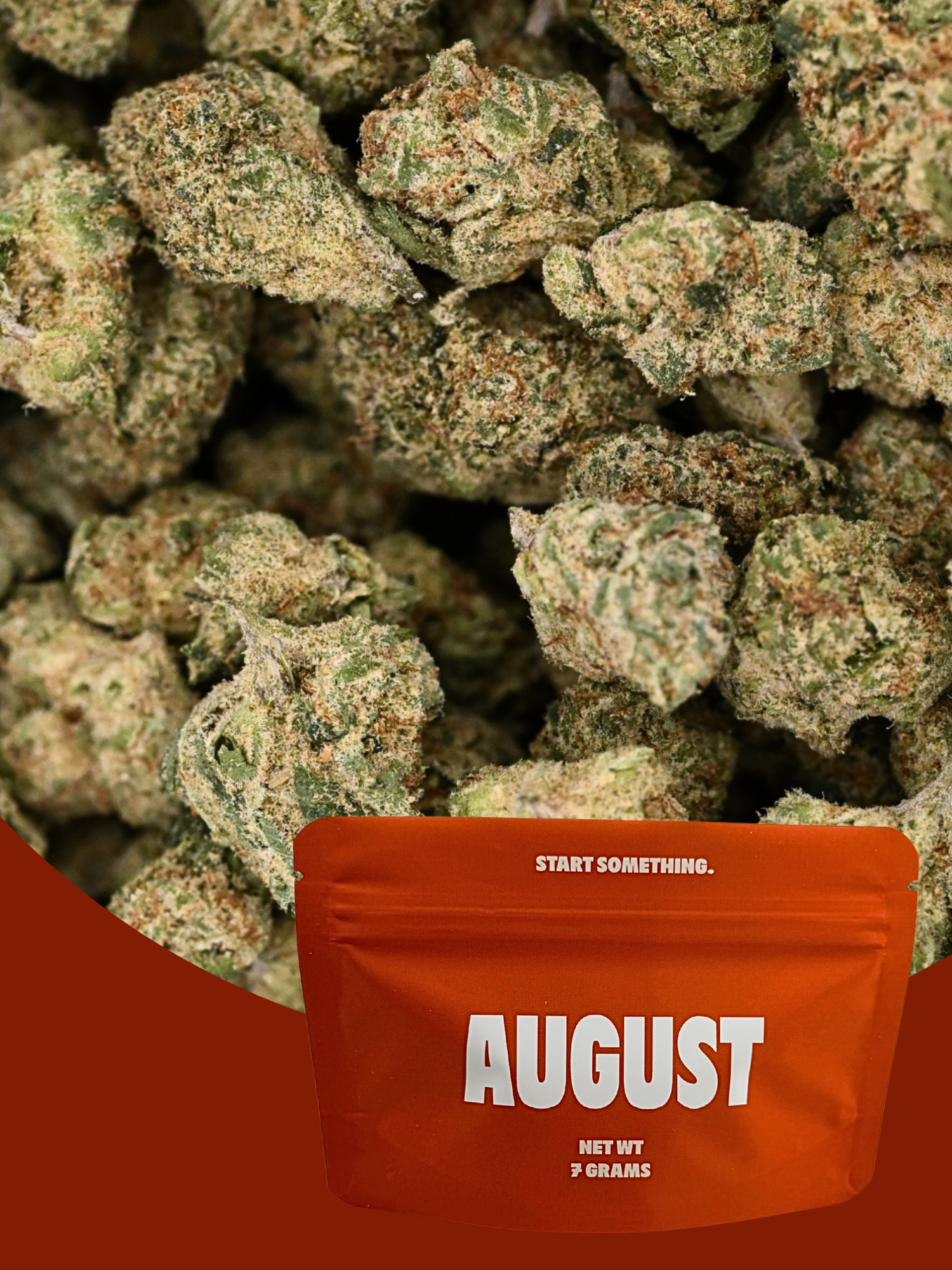 Colombian Gold  - Exotic Smalls