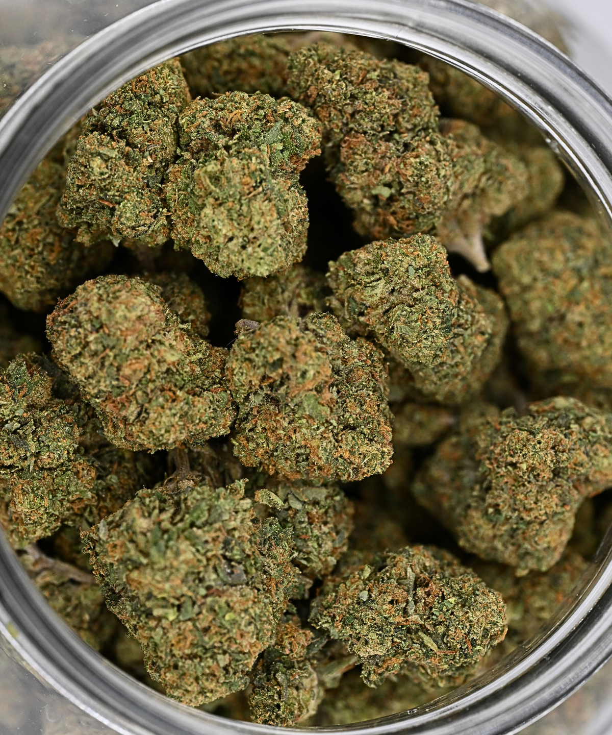 Acapulco Gold THCA Flower Greenhouse Living Soil August Cannabis Club
