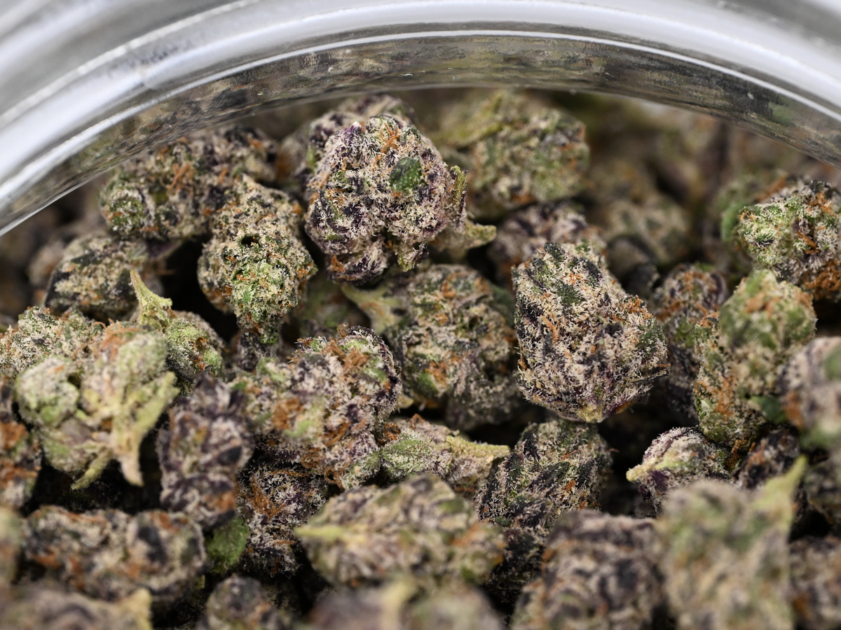 Dank Sinatra August Cannabis Club Indica Living Soil THCA Flower