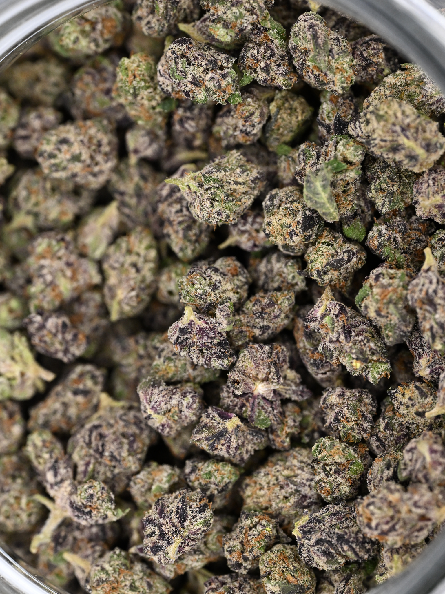 Dank Sinatra August Cannabis Club Indica Living Soil THCA Flower Exotic Smalls