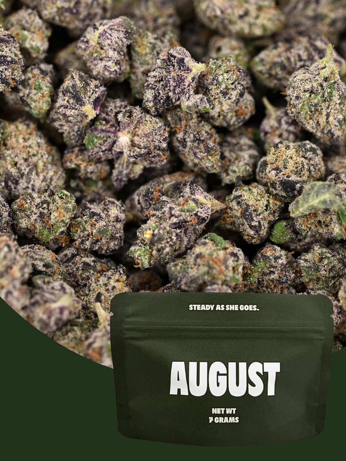 Dank Sinatra August Cannabis Club Indica Living Soil THCA Flower