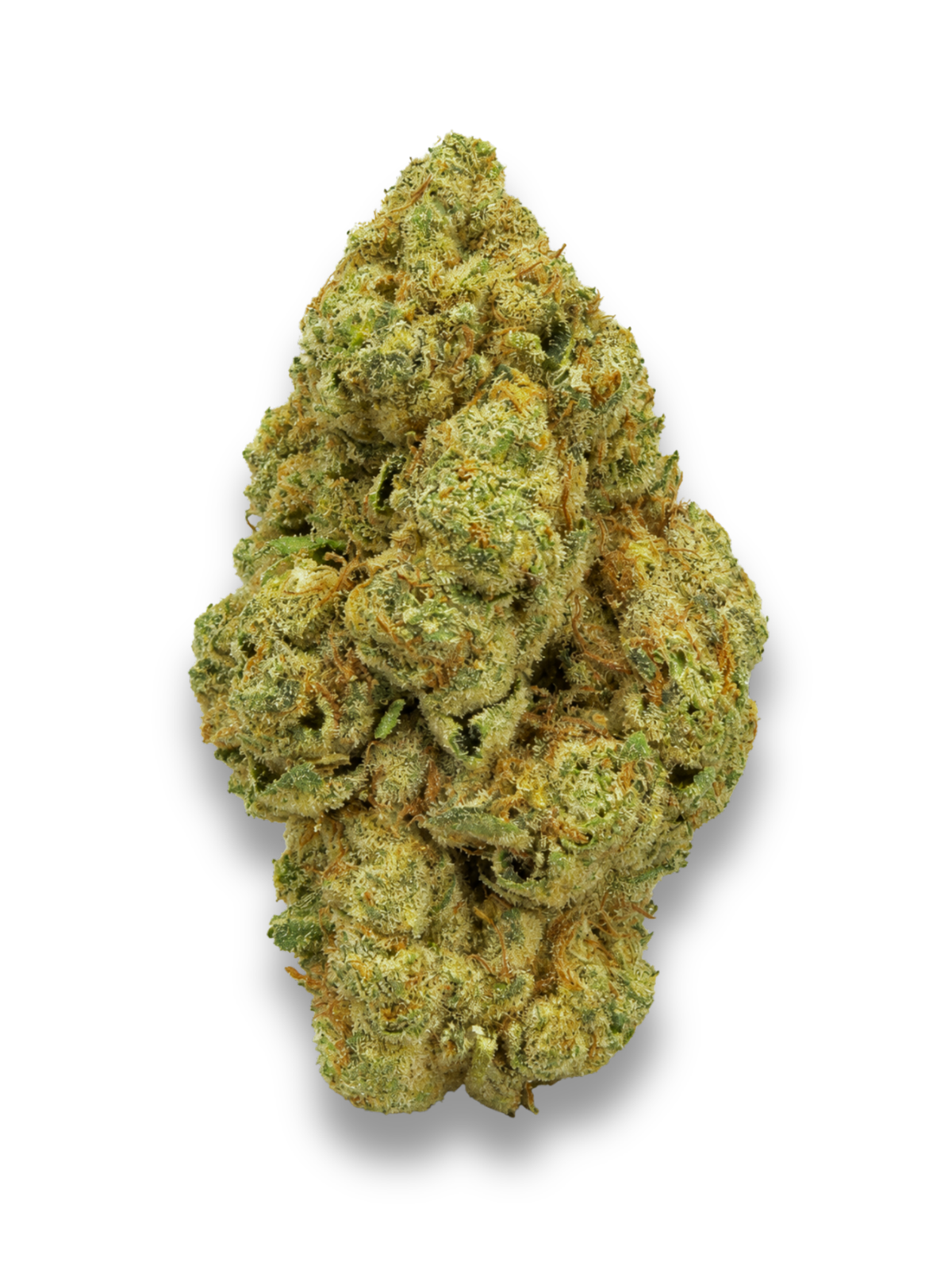 Dark Rainbow Greenhouse THCa Flower August Cannabis Club