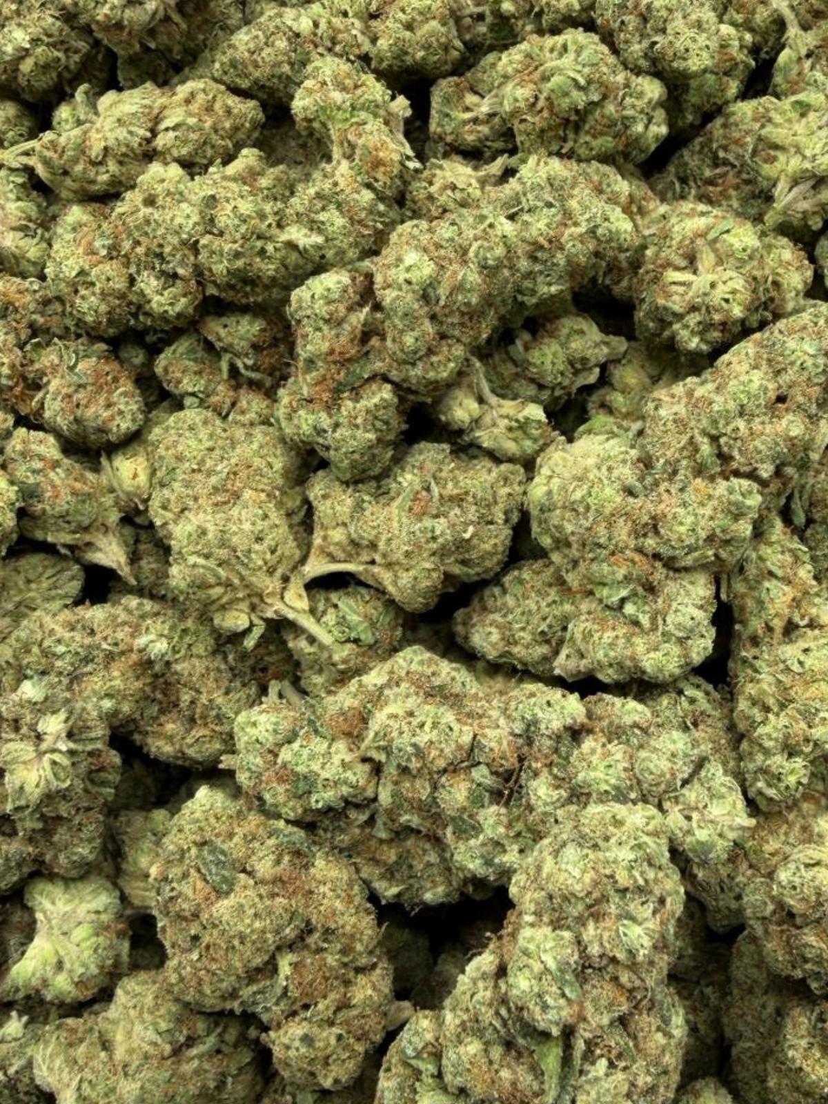 Dark Rainbow Greenhouse THCa Flower August Cannabis Club