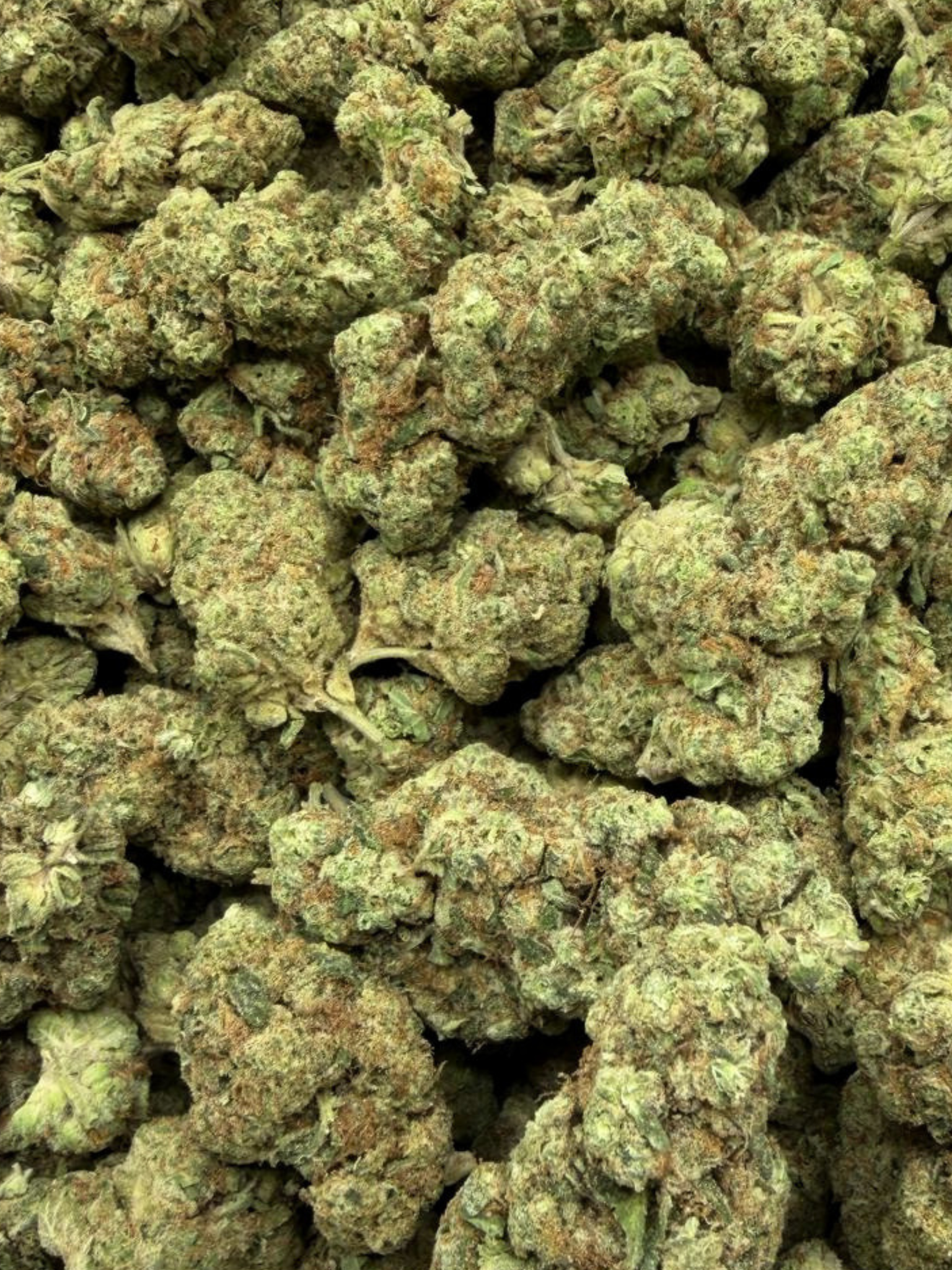 Dark Rainbow Greenhouse THCa Flower August Cannabis Club