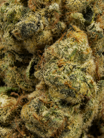 Dark Rainbow Greenhouse THCa Flower August Cannabis Club