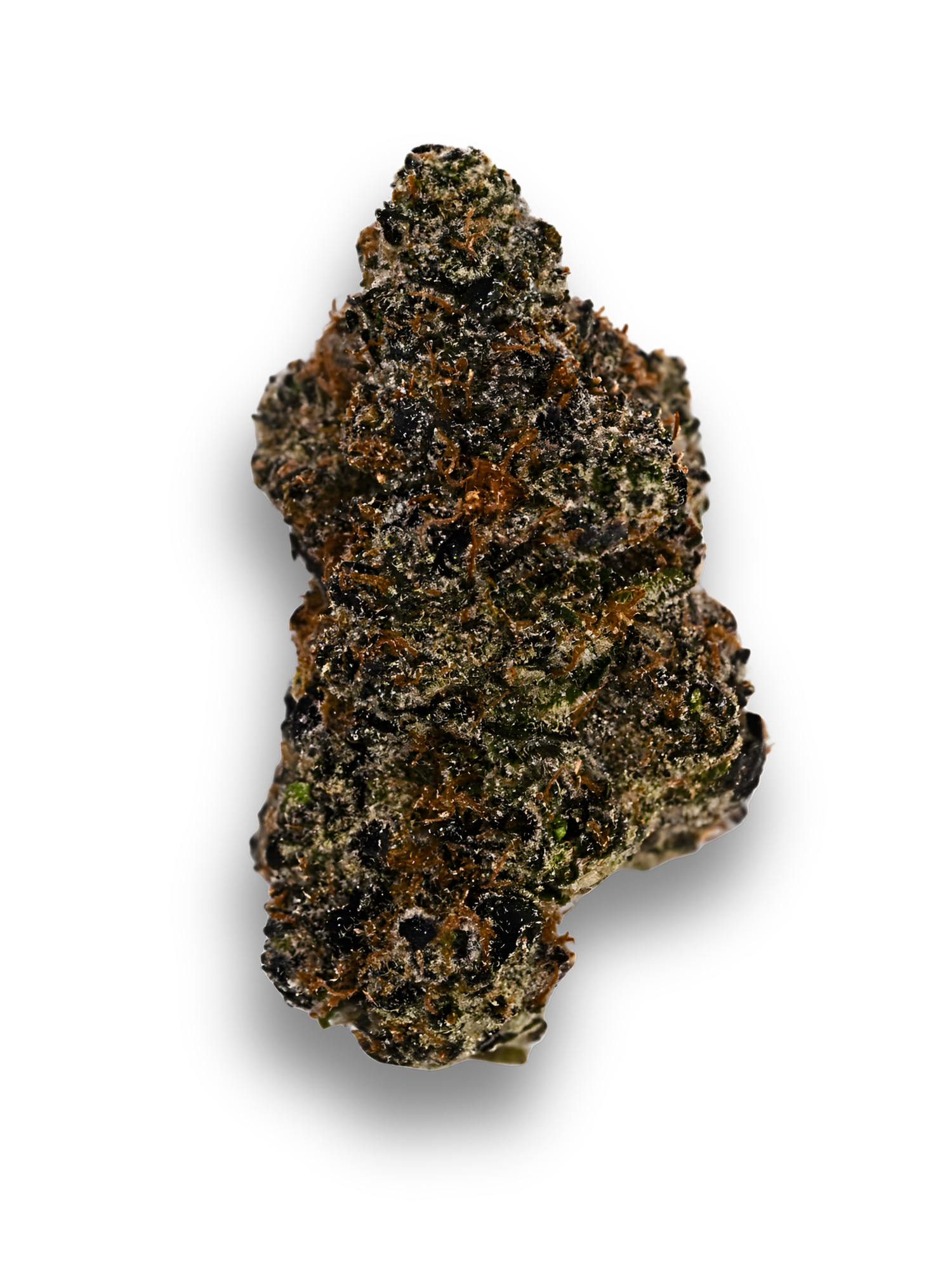 Death Star Indica August Cannabis Club Indoor Living Soil Exotic THCA Flower