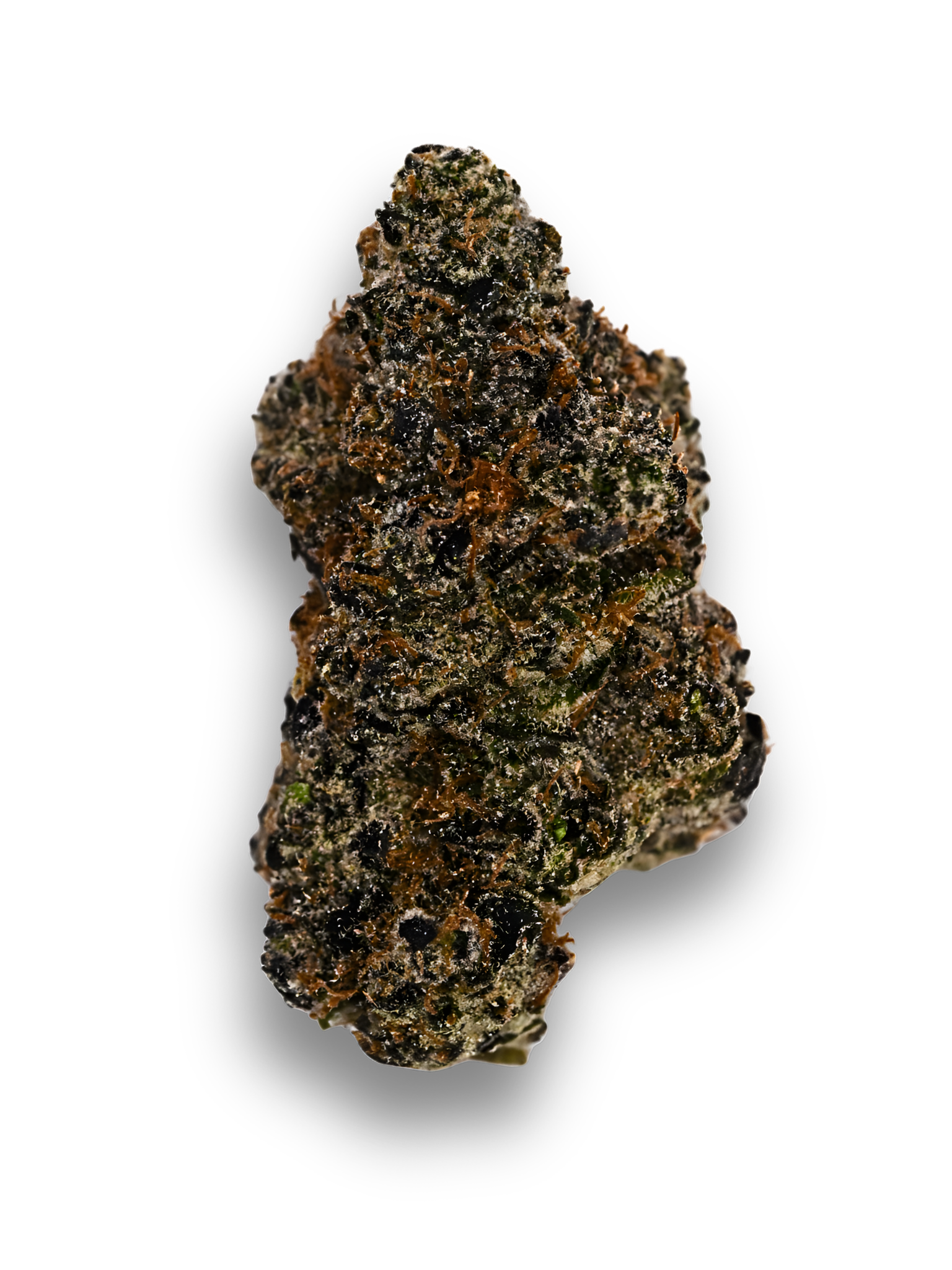 Death Star Indica August Cannabis Club Indoor Living Soil Exotic THCA Flower