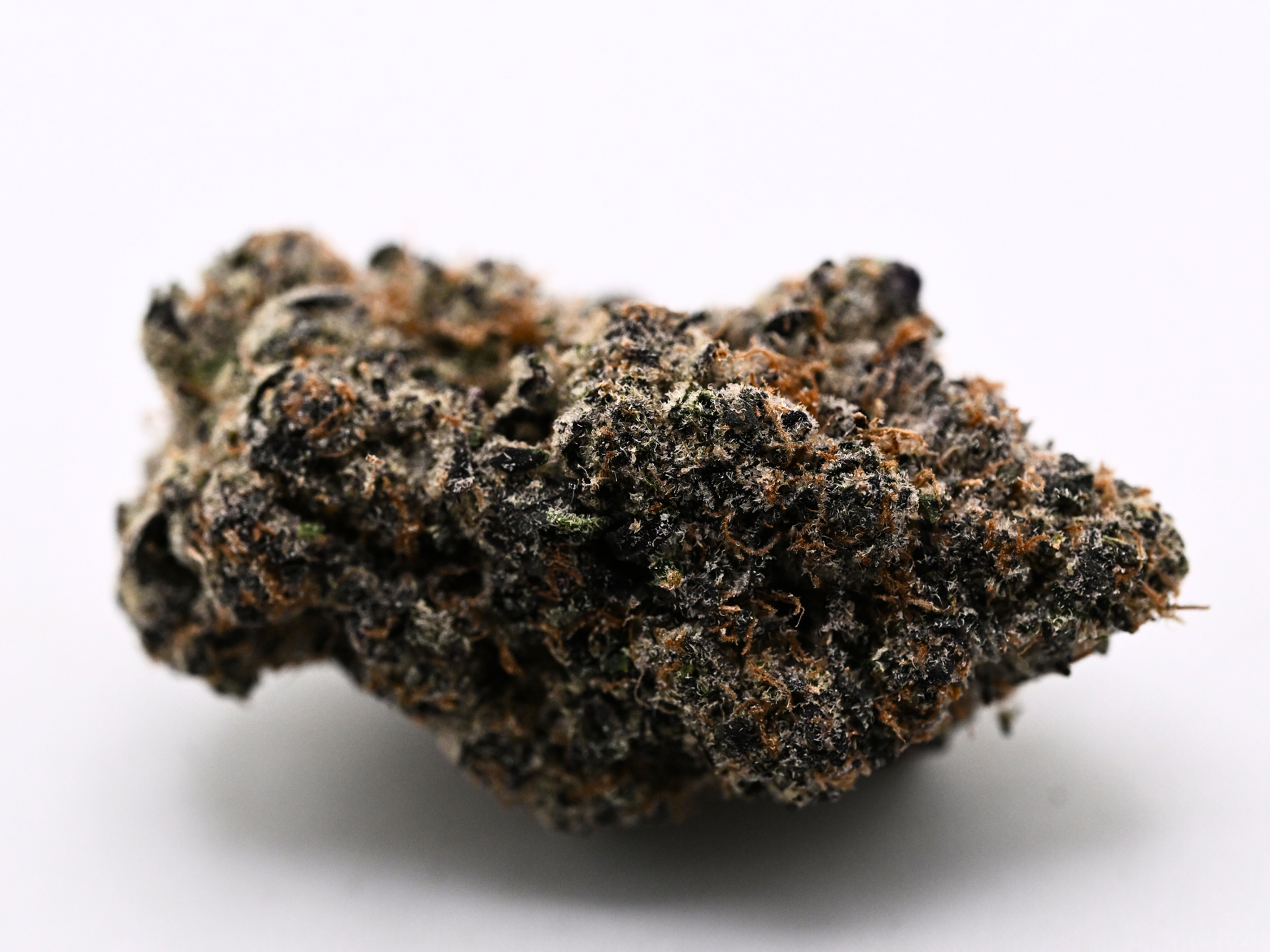 Death Star Indoor Living Soil Exotic THCa Flower August Cannabis Club